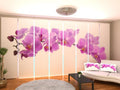 Set di 8 Tende a Pannello Grande Orchidea