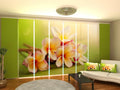 Set di 8 Tende a Pannello Fiori Primaverili
