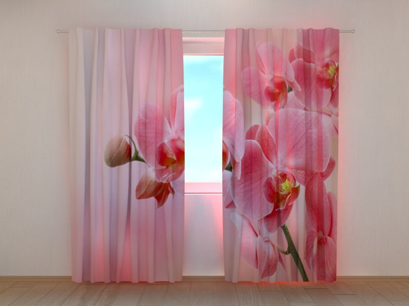 Foto Tende Orchidea Rosa