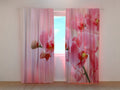Foto Tende Orchidea Rosa
