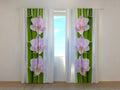 Foto Tende Orchidee Rosa e BambC9