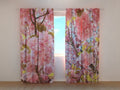 Foto Tende Sakura Rosa