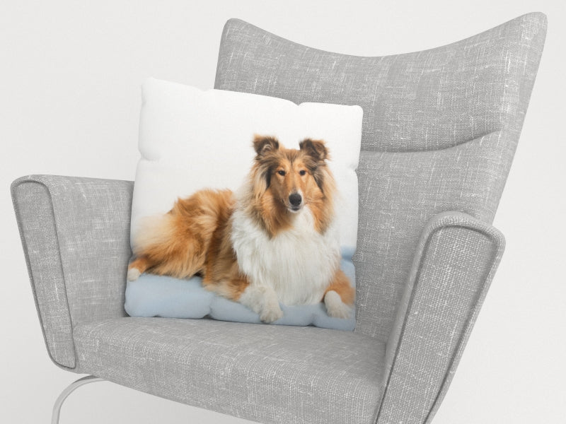 Federe per Cuscini Magnifico Collie