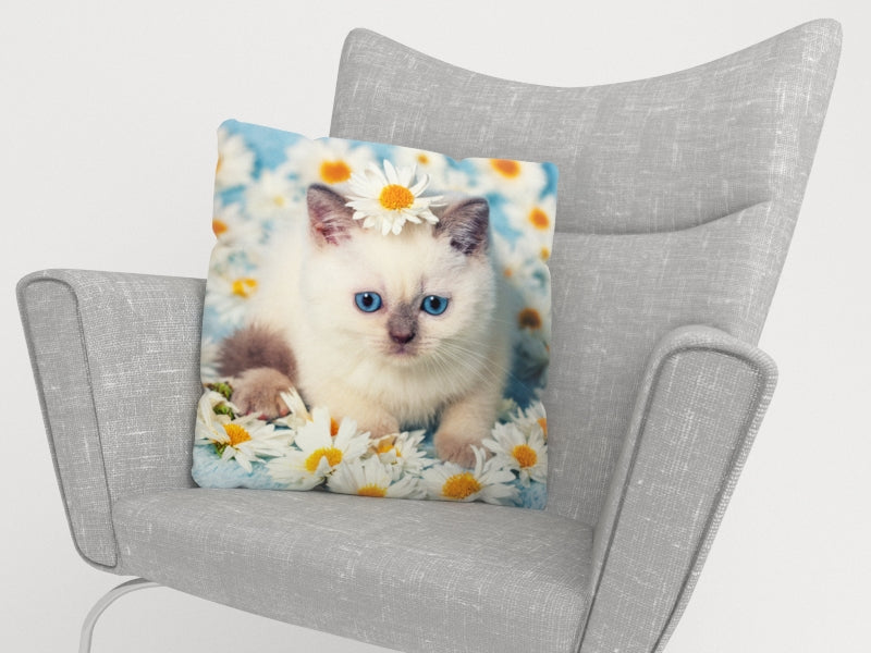 Federe per Cuscini Gattina