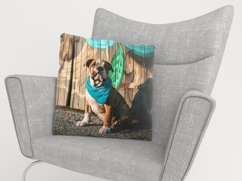 Federe per Cuscini Cucciolo di Bulldog Inglese Elegante