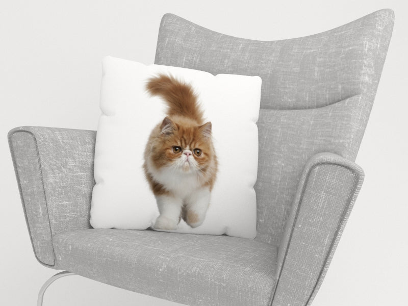Federe per Cuscini Gatto Birichino