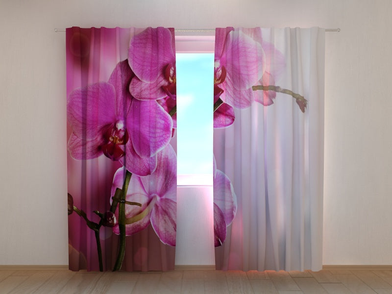 Foto Tende Orchidea Color Porpora