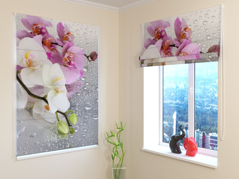 Tende a Pacchetto Orchidee e Pioggia