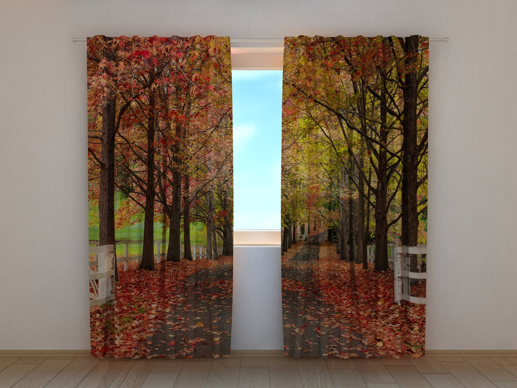 Foto Tende Autunno Rosso