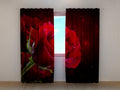 Foto Tende Cuore Rosso