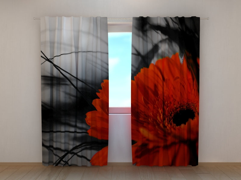 Foto Tende Rosso e Nero