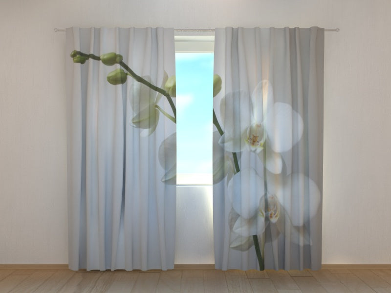 Foto Tende Riga Orchidea