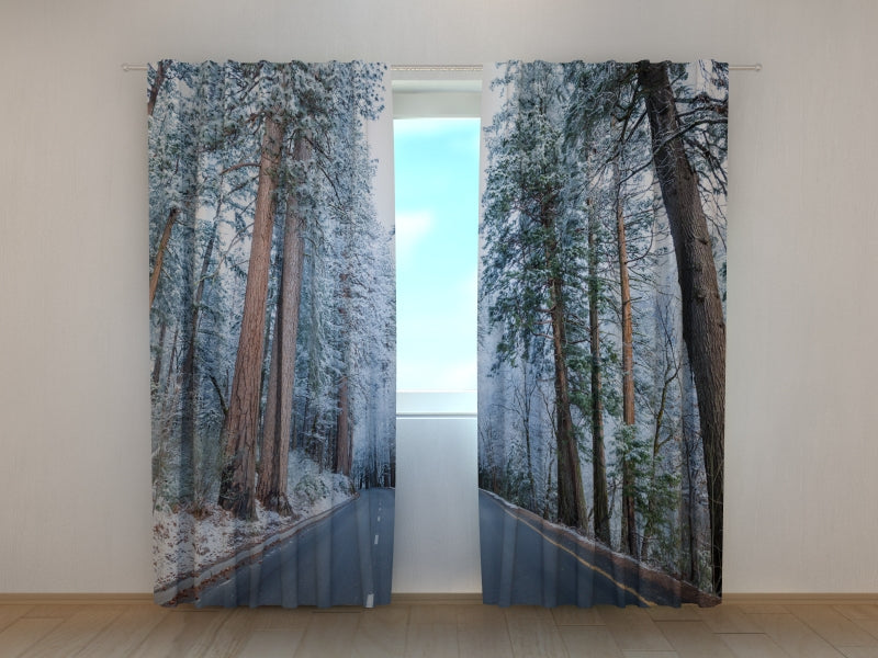Foto Tende Strada e Foresta Innevate