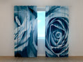 Foto Tende Rose con Sfumature Blu