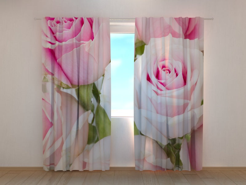 Foto Tende Rose Reali