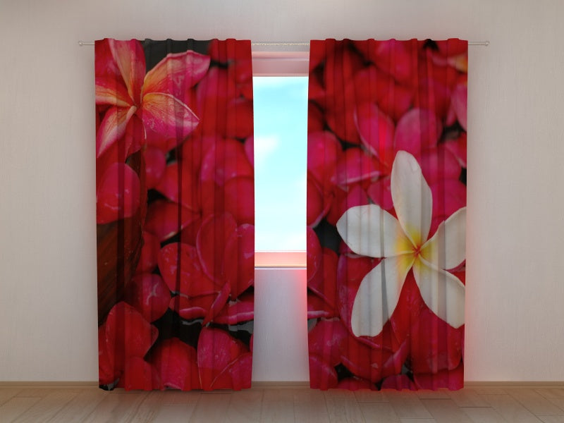 Foto Tende Fiori Scarlatti