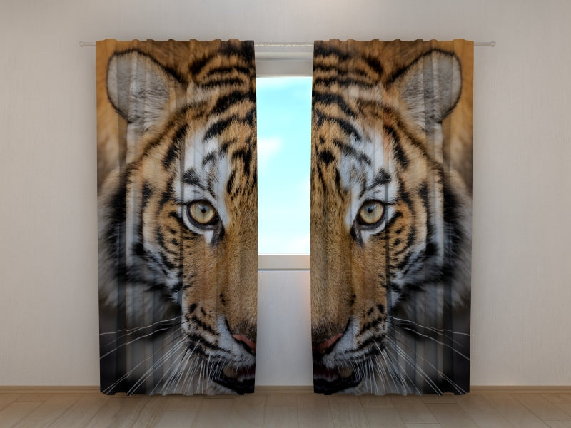 Foto Tende Tigre Siberiana
