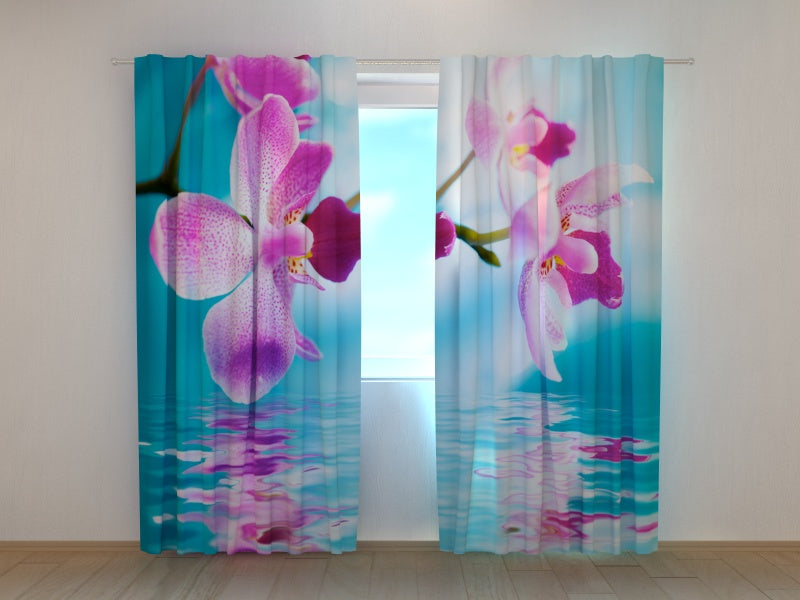 Foto Tende Orchidee Azzurre