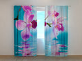 Foto Tende Orchidee Azzurre