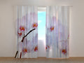 Foto Tende Orchidea Candida