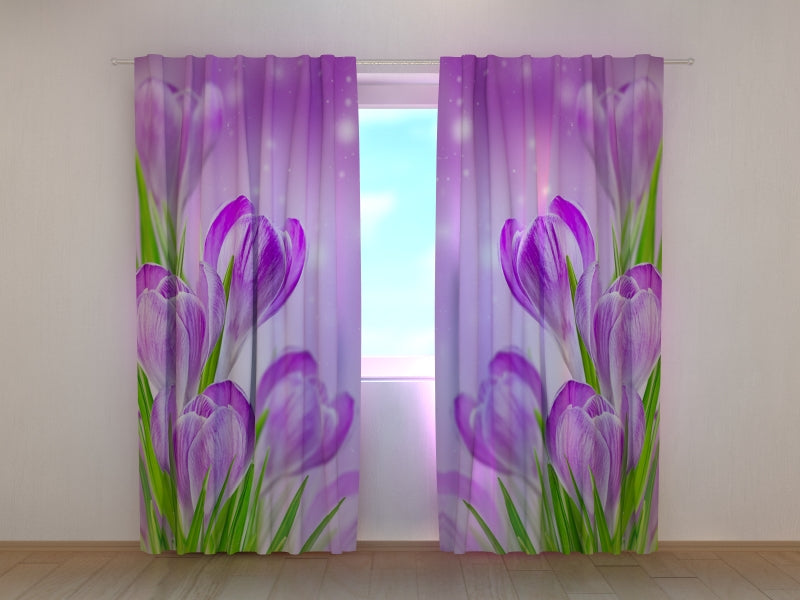Foto Tende Crocus Primaverili