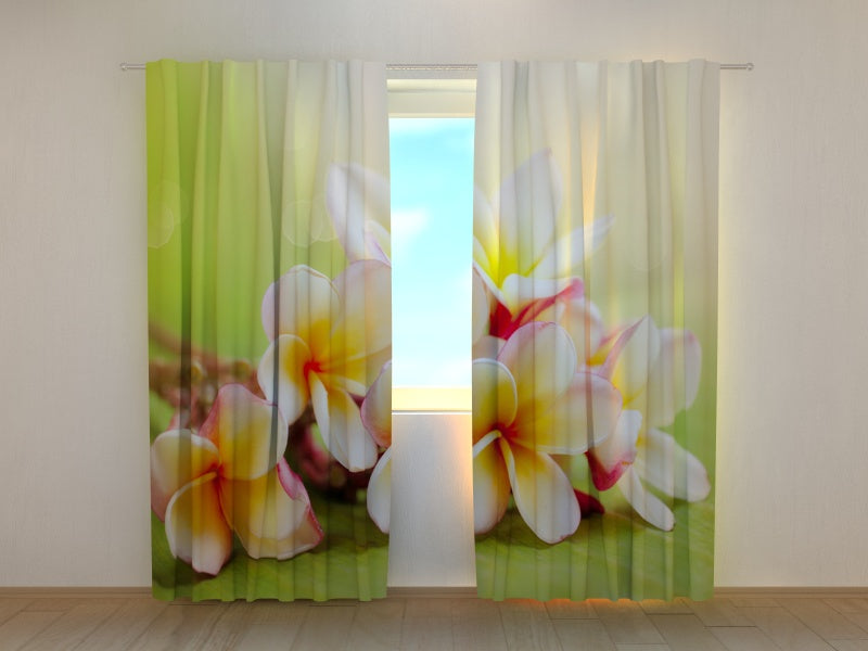 Foto Tende Fiori Primaverili