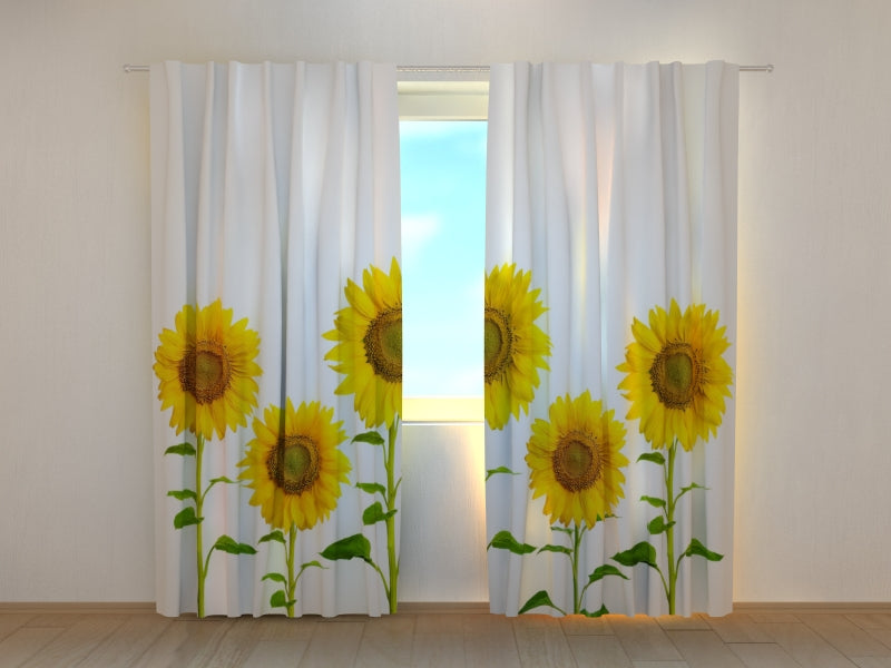 Foto Tende Girasoli Gialli Estivi