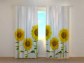 Foto Tende Girasoli Gialli Estivi
