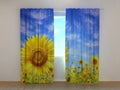 Foto Tende Girasole