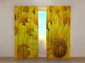 Foto Tende Girasoli
