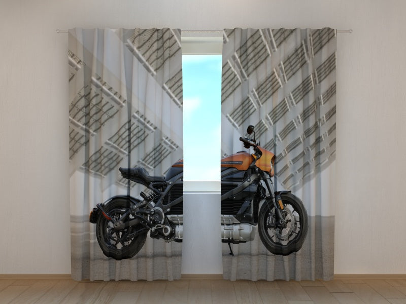 Foto Tende Super Moto Harley Davidson