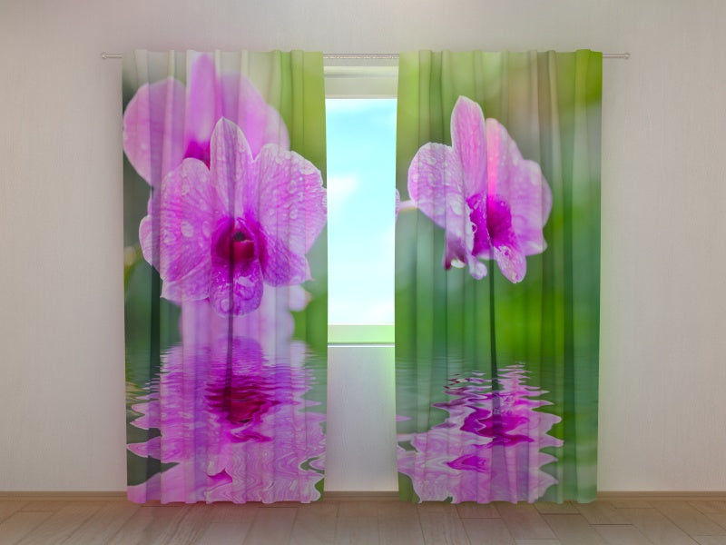 Foto Tende Tre Orchidee