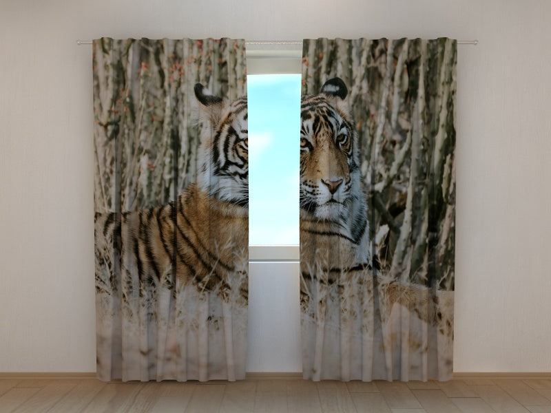 Foto Tende Tigre Shayari