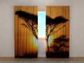 Foto Tende Albero al Tramonto