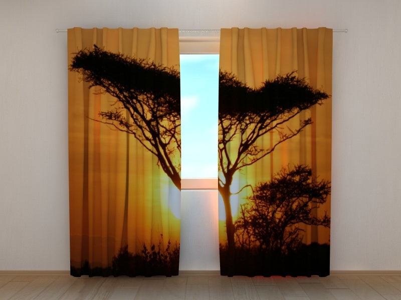Foto Tende Albero al Tramonto