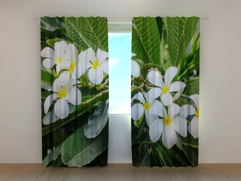 Foto Tende Arbusto Tropicale