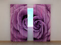Foto Tende Rosa Eccentrica 2