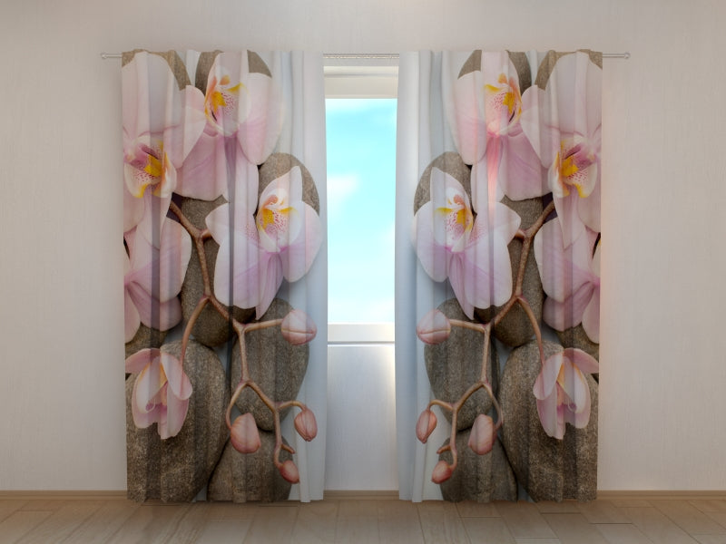 Foto Tende Orchidea di Vienna 2