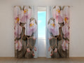 Foto Tende Orchidea di Vienna 2