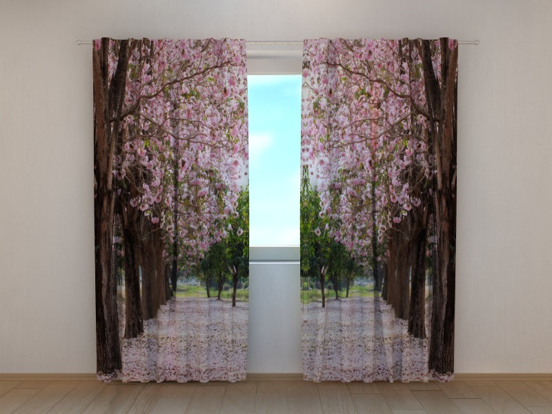 Foto Tende Alberi in Fiore Lungo la Strada