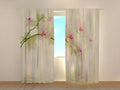 Foto Tende Fiori Bianchi