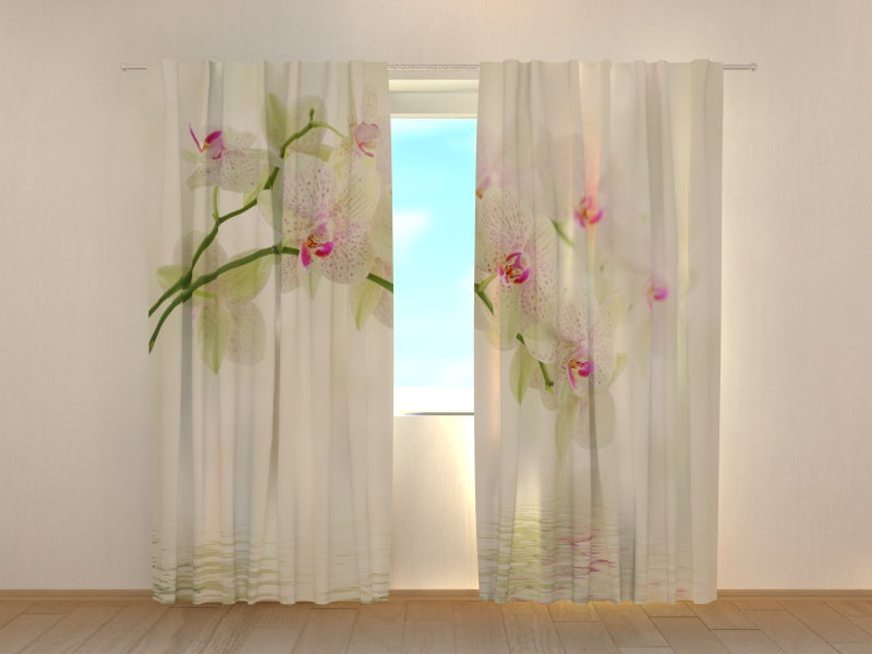 Foto Tende Fiori Bianchi