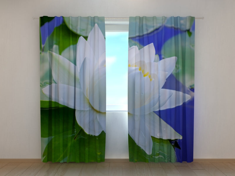 Foto Tende Fiore di Loto Bianco