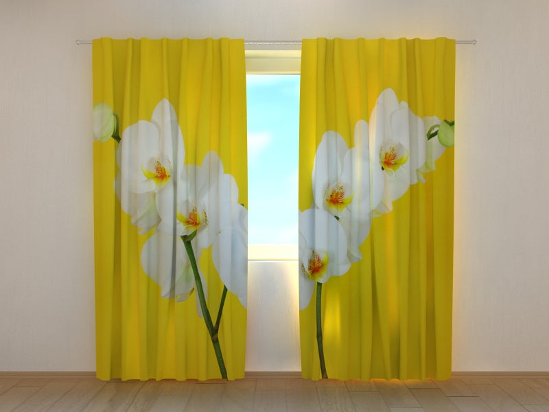 Foto Tende Orchidee Bianche