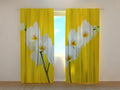 Foto Tende Orchidee Bianche