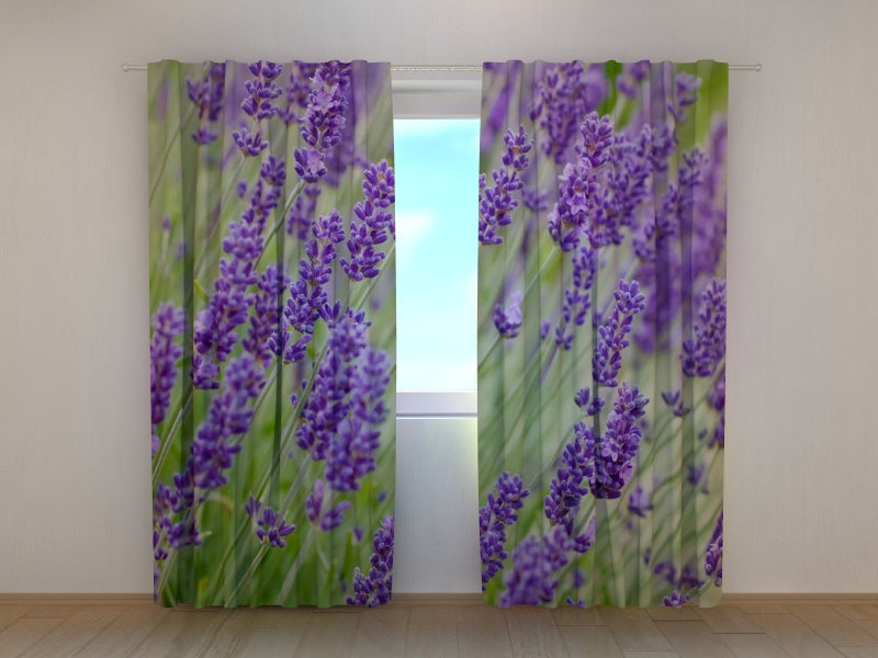 Foto Tende Fiori di Campo