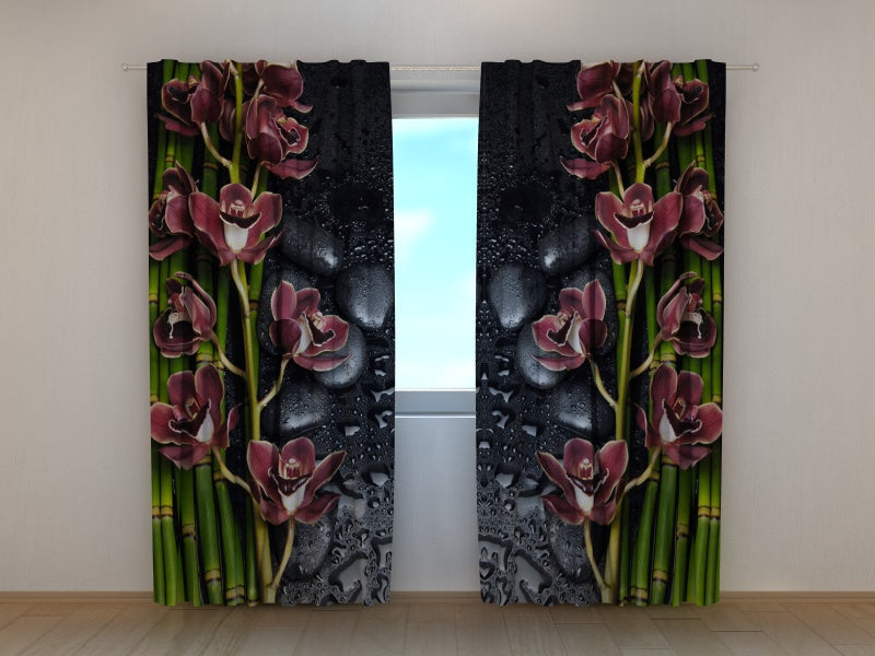 Foto Tende Orchidee Bordeaux