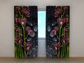 Foto Tende Orchidee Bordeaux