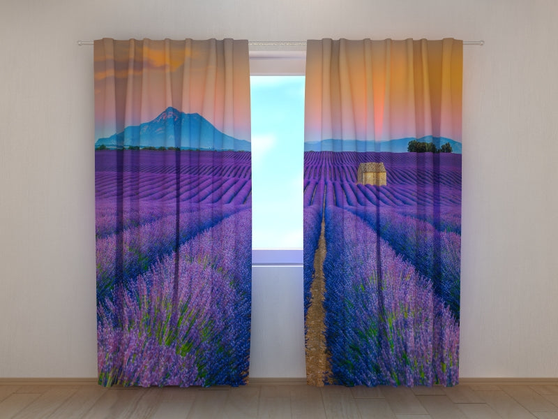 Foto Tende Meravigliosi Campi di Lavanda in Provenza