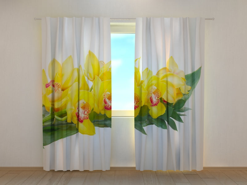 Foto Tende Orchidee Gialle